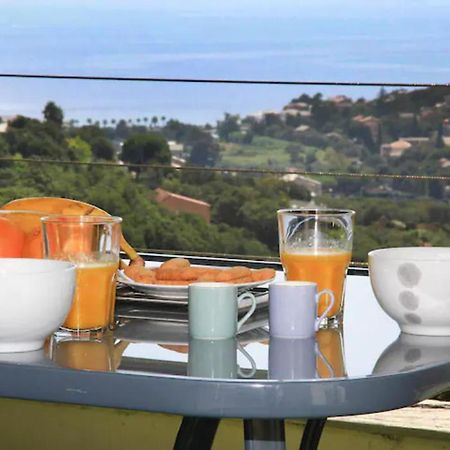 Cap Corse Uribellinu 2 Formule Petit Dejeuner Santa-Maria-di-Lota Esterno foto