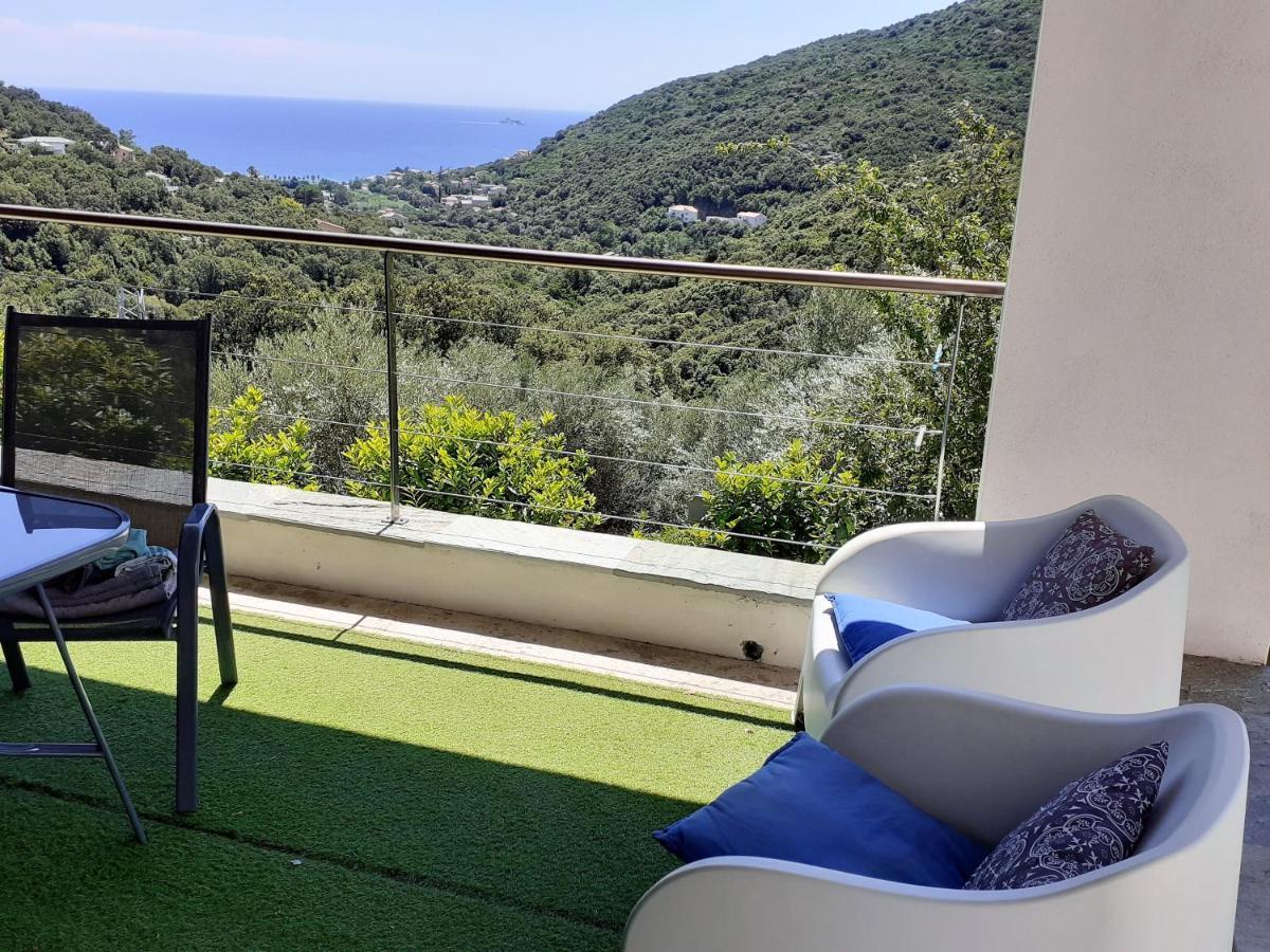 Cap Corse Uribellinu 2 Formule Petit Dejeuner Santa-Maria-di-Lota Esterno foto