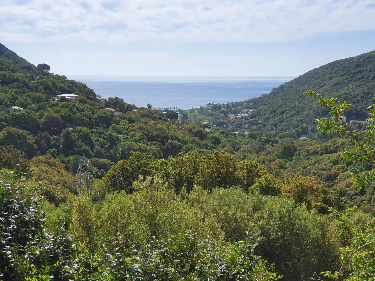 Cap Corse Uribellinu 2 Formule Petit Dejeuner Santa-Maria-di-Lota Esterno foto